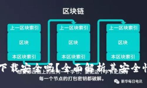 : USDT官网下载安全吗？全面解析其安全性与风险控制