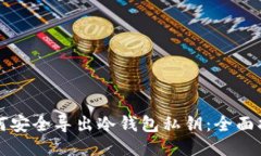 如何安全导出冷钱包私钥