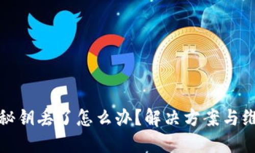 比特币秘钥丢了怎么办？解决方案与维护策略