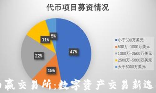 
币赢交易所：数字资产交易新选择