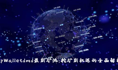 tpWalletdmd最新矿池：挖矿新机遇的全面解析