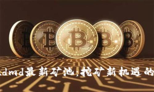 tpWalletdmd最新矿池：挖矿新机遇的全面解析