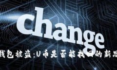 冷钱包被盗：U币是否能找