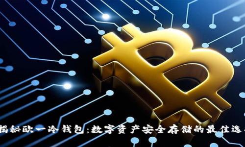  揭秘欧一冷钱包：数字资产安全存储的最佳选择
