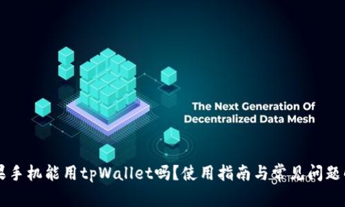 苹果手机能用tpWallet吗？使用指南与常见问题解析