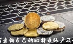 如何查询自己的比特币账