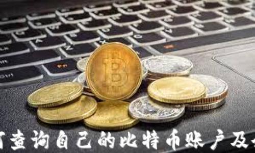 
如何查询自己的比特币账户及余额