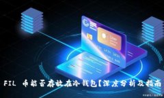 FIL 币能否存放在冷钱包？
