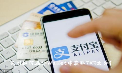 又tl如何在tpWallet中获取TXT文件？