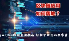 tpWallet地址查询指南：轻松