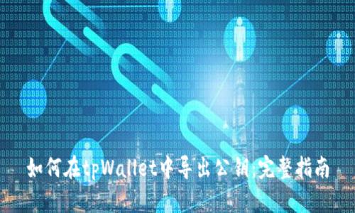 如何在tpWallet中导出公钥：完整指南