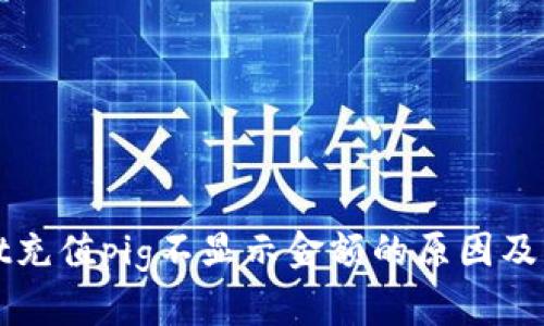 tpWallet充值pig不显示金额的原因及解决方法