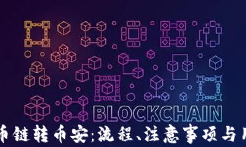 
tpWallet货币链转币安：流程、注意事项与用户体验分析