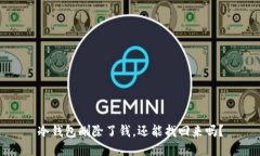 冷钱包删除了钱，还能找