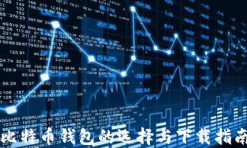 
比特币钱包的选择与下载指南