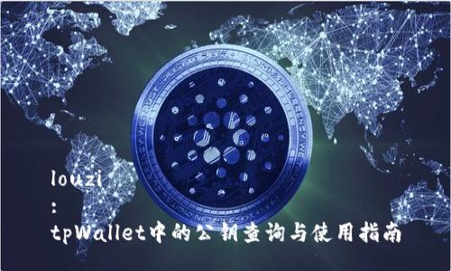 louzi
:
tpWallet中的公钥查询与使用指南