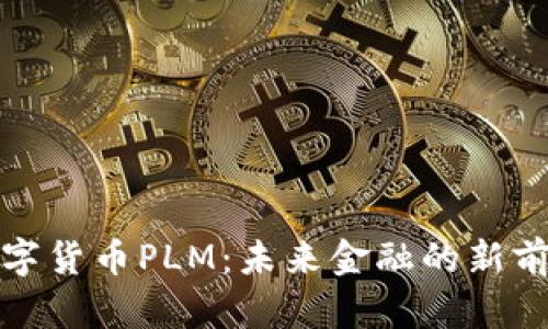 数字货币PLM：未来金融的新前沿