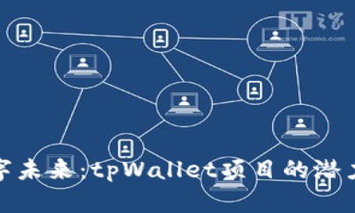 解锁数字未来：tpWallet项目的潜力与机遇