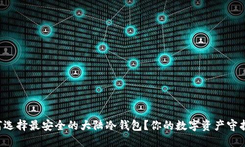 如何选择最安全的大陆冷钱包？你的数字资产守护者！