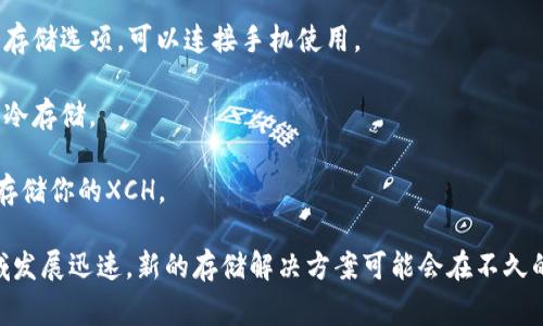 截至我最后获得的信息（2023年10月），XCH（Chia币）还没有官方推出的手机冷钱包。冷钱包通常指的是与互联网断开的存储设备，主要用于安全地存储加密货币。

如果你考虑使用手机来管理你的Chia币，可以使用一些加密货币钱包应用程序，但请注意，许多手机应用都是热钱包，可能会面临一定程度的安全风险。当前的解决方案通常包括：

1. **硬件钱包**：虽然不是手机，但硬件钱包是一种非常安全的冷存储选项，可以连接手机使用。

2. **纸钱包**：生成Chia币的私钥并将其打印出来，这也算是一种冷存储。

3. **电脑冷钱包**：在不连接互联网的情况下使用计算机生成和存储你的XCH。

建议定期查看官方渠道和社区来获取最新消息，因为加密货币领域发展迅速，新的存储解决方案可能会在不久的将来推出。如果你有进一步的问题或特别的需求，欢迎分享！
