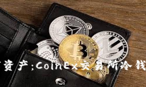 守护你的数字资产：CoinEx交易所冷钱包的全面解析