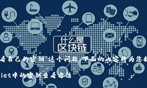 关于“tpWallet如何查看自己的密钥”这个问题，下面的内容将为您提供详细的解答和指导。

### 快速掌握tpWallet中的密钥查看方法