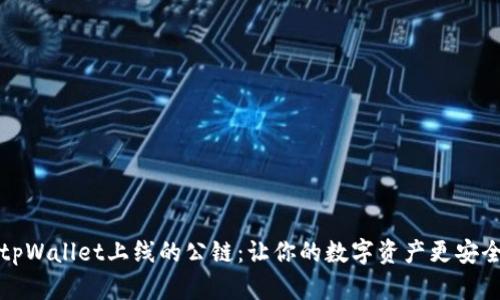  探索在tpWallet上线的公链：让你的数字资产更安全、更便捷