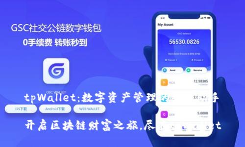 tpWallet：数字资产管理的智能助手

开启区块链财富之旅，尽在tpWallet