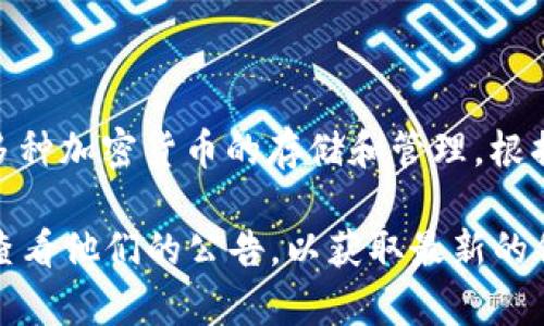 FIL币，即Filecoin代币，是一种用于分布式存储网络的加密货币。TPWallet是一种多链钱包，支持多种加密货币的存储和管理。根据我的知识，TPWallet是支持FIL币的存储的。

但是，具体的存入流程和支持情况可能会有所变化，因此建议你直接访问TPWallet的官方网站或查看他们的公告，以获取最新的信息和指导。此外，确保在进行任何转账操作前，仔细确认钱包地址和相关步骤，以避免资金的损失。