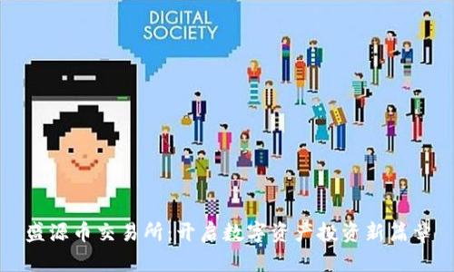 盛源币交易所：开启数字资产投资新篇章