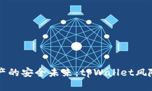 掌控数字资产的安全未来：tpWallet风险管控全解析