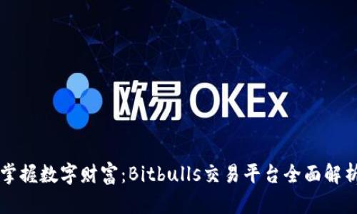 掌握数字财富：Bitbulls交易平台全面解析