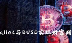 如何利用tpWallet与BUSD实现