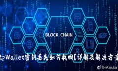 tpWallet密钥丢失如何找回？