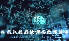  冷钱包能存放哪些数字货