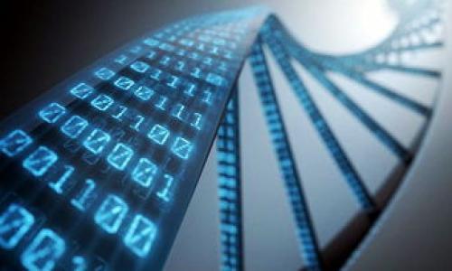 如何在tpWallet上顺利出售鱿鱼币

关键词：tpWallet, 鱿鱼币, 加密货币交易

在数字货币的世界中，随着越来越多的人开始接触和投资加密货币，如何便捷地进行交易成为了大家关注的重要话题。tpWallet作为一款用户友好的数字钱包，不仅支持多种加密货币的存储和管理，还提供了便捷的交易功能。在众多加密货币中，鱿鱼币（Squid Game Token）因其独特的概念和投资潜力吸引了不少投资者的目光。那么，如何在tpWallet上成功出售鱿鱼币呢？

在本教程中，我们将详细介绍在tpWallet上出售鱿鱼币的步骤，相关的风险，以及一些常见问题的解答，以帮助用户顺利完成交易。

一、了解tpWallet
tpWallet是一款基于区块链技术的数字钱包，旨在为用户提供安全、便捷的加密货币存储和转账服务。用户可以在tpWallet上管理自己的多种数字资产，包括ERC20和BEP20代币等。能够在应用内进行交易，使得用户在进行加密货币买卖时更加方便。

二、准备出售鱿鱼币
在tpWallet上出售鱿鱼币之前，需要确保你的钱包中已经拥有足够数量的鱿鱼币，并且确保你的tpWallet已经完成身份验证或 KYC 过程。此外，还需了解当前市场价格，以便在最合适的时机进行出售。

首先，请确保你的tpWallet已更新至最新版本。接着，打开应用程序，进入资产界面，寻找存储的鱿鱼币，并确认其余额。

三、在tpWallet上出售鱿鱼币的步骤
具体步骤如下：
ol
    listrong打开tpWallet：/strong 在设备上启动tpWallet应用程序，并登录你的账户。/li
    listrong找到鱿鱼币：/strong 通常在主界面上，你会看到“资产”选项，点击进入。在资产列表中找到你想要出售的鱿鱼币。/li
    listrong选择出售操作：/strong 点击鱿鱼币后，选择“出售”或“交易”选项。在此，你就可以看到当前的交易市场和价格。/li
    listrong输入出售数量：/strong 根据当前市场价格输入你要出售的数量。tpWallet会自动计算出你所能获得的价格。/li
    listrong确认交易：/strong 在确认所有信息无误后，点击确认，系统会提示你进行安全验证。输入密码或进行指纹识别以完成交易。/li
    listrong查看交易状态：/strong 成功出售后，可以在“交易记录”中查看该项交易的详细信息，确保交易已顺利完成。/li
/ol

四、注意事项
在使用tpWallet出售鱿鱼币时，用户需要注意一些事项：
ol
    listrong市场波动：/strong 加密货币市场是高度波动的，鱿鱼币的价格可能会迅速变化。建议在交易前确认市场行情。/li
    listrong手续费：/strong 根据市场的不同，交易可能会收取一定的手续费，用户在出售时需要注意计算。/li
    listrong安全性：/strong 在进行任何交易时，请确保你的tpWallet账户安全，避免因信息泄露而造成资产损失。/li
/ol

五、常见问题解答

问题一：出售鱿鱼币的手续费是多少？
手续费因平台、市场行情和地理位置的不同而异。一般来说，每笔交易都会收取一定比例的手续费，这通常是基于交易金额的一个百分比。在tpWallet上出售鱿鱼币时，建议在交易前查看相关费用说明，以避免产生意外费用。

tpWallet在其官方网站上通常会提供最新的手续费信息。然而用户还需要注意的是，手续费的收取可能会随着市场的波动而变化，因此请时刻关注官方通告。同时，如果你通过某些兑换平台而非直接在tpWallet内出售，手续费结构可能会有所不同，这一点也需特别留意。

问题二：tpWallet安全吗？如何保护我的资产安全？
tpWallet是一款相对安全的数字钱包，它采用了行业标准的加密技术来保护用户的资产安全。然而，用户之间的安全意识同样重要。下面是一些保护资产安全的建议：

ol
    listrong启用双重验证：/strong 使用双重验证（2FA）能够为你的账户提供额外一层保护，即使账户信息被盗，也难以被非法访问。/li
    listrong定期更新密码：/strong 使用强密码并定期更新是保护账户安全的有效手段。同时，不要在多个账户之间重复使用同一密码。/li
    listrong保持软件更新：/strong 定期更新tpWallet到最新版本，以确保您能获得最新的安全改进和功能。/li
    listrong谨防钓鱼攻击：/strong 在访问tpWallet或其他加密货币网站时，请确保你使用的是官方链接，并警惕各种钓鱼攻击。/li
/ol

问题三：tpWallet支持哪些交易对？
tpWallet支持多种类型的加密货币交易，但具体可以交易的对（交易对）可能会根据市场条件和平台政策的变化而有所不同。你可以在tpWallet的主界面或交易页面上找到最新的信息。

一般而言，常见的交易对包括USDT/BTC、ETH/BTC、以及各种ERC20代币之间的兑换等。而对于鱿鱼币，你需要确认它是否在tpWallet的交易对列表中。如果没有列出，你也可以考虑在其他支持鱿鱼币的交易所进行交易。

问题四：出售鱿鱼币后，如何提取资金？
出售鱿鱼币后，资金会在tpWallet中以法定货币（如USDT等稳定币）或其他加密货币的形式存在。要提取这些资金，你需要进行以下操作：

ol
    listrong选择提取：/strong 在tpWallet的资产管理页面，选择你想要提取的加密货币。/li
    listrong输入地址：/strong 输入你希望提取到的外部钱包地址，确保该地址正确无误。/li
    listrong确认提取金额：/strong 输入你想提取的金额。请注意，部分钱包对于提取金额可能设定最小限制。/li
    listrong完成验证：/strong 有些钱包在提取时会要求用户进行身份验证，例如邮件确认或者双重验证。请按要求完成这些步骤。/li
/ol

问题五：如何选择合适的交易时机？
选择合适的交易时机对转售鱿鱼币至关重要。以下是几种策略，可以帮助你决定何时出售：

ol
    listrong技术分析：/strong 通过观察价格图表及历史数据，使用各种技术指标（如移动平均线、相对强弱指数）来预测价格走势。/li
    listrong市场新闻：/strong 紧跟加密货币市场的相关新闻和动态，某些事件可能会导致价格剧烈波动，及时把握这些信息，可能帮助你抓住最佳时机。/li
    listrong设定价格目标：/strong 在进行任何交易前，设定一个你认为合理的目标价格，以确保在达到时能够迅速执行交易。/li
/ol

综上所述，tpWallet为出售鱿鱼币提供了一种便捷安全的方式。在了解了如何出售、注意事项及重点问题之后，你将能够更自信地参与这一充满波动性和机会的市场。