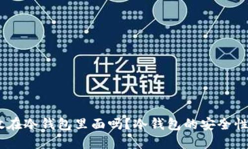 USDT可以放在冷钱包里面吗？冷钱包的安全性与使用指南