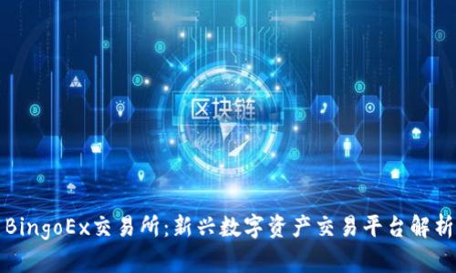 BingoEx交易所：新兴数字资产交易平台解析