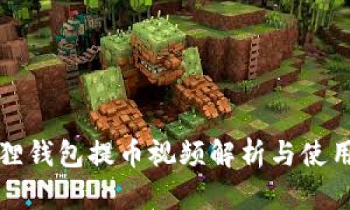 小狐狸钱包提币视频解析与使用指南