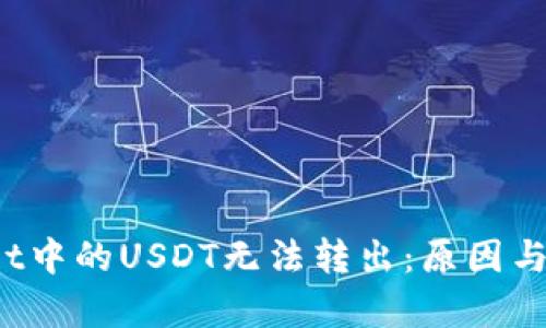  tpWallet中的USDT无法转出：原因与解决方案