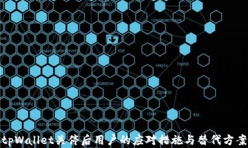 
tpWallet关停后用户的应对措施与替代方案