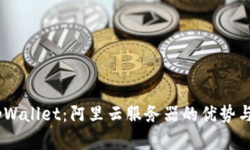 在此处：tpWallet：阿里云服务器的优势与应用探讨